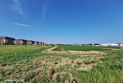 Teren agricol extravilan de 17400 mp, în Sânpetru - 2