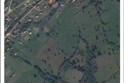 Teren de 10994 mp, în Ceahlău - 1