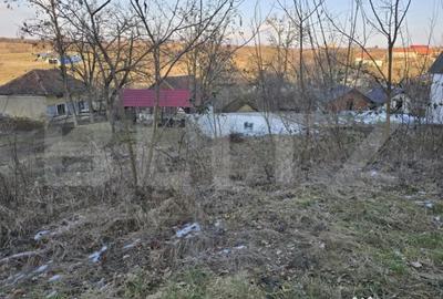 Teren de 79000 mp, în Central - 7