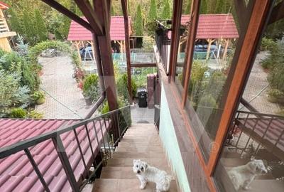 Apartament 4 camere de inchiriat in Tocile - liniste si priveliste frumoasa Apartament 4 camere de inchiriat in Tocile - liniste si priveliste frumoasa - 17