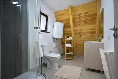 Casă individuală cu 2 camere cu Teren 1200 Mp în Bran - 19