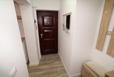 Apartament tip studio, parter, renovat, zona Panduri- Brailei - 11