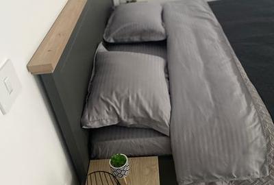 Garsonieră în Brazda lui Novac - 4