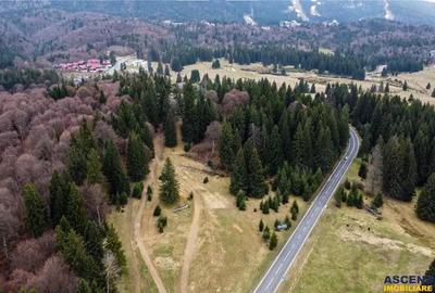 Teren de 1000 mp, în Poiana Brașov - 6