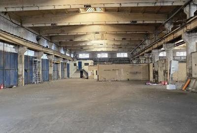 Spațiu comercial, de 600 mp, în Industriilor - 8