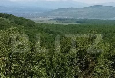 Casă cu 2 camere cu Teren 1700 Mp în Seciu - 11