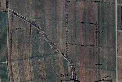 Teren de 9100 mp, în Cârligele