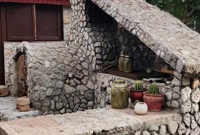 Vanzare 3 case moderne + 3 anexe si 2000 mp teren gradina, pomi in Tuzla la mare - 25