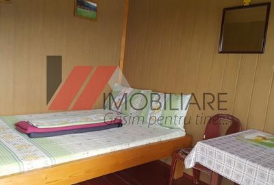CINCIS Lac Camping 10.000 mp teren intravilan  AFACERE - 5