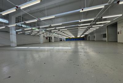 Hala productie P+1 si apartament de serviciu Navodari - c-tie beton - 4