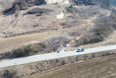 Teren de 2000 mp, în Moșna - 10