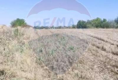 Teren de 3700 mp, în Central