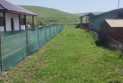 Teren de 580 mp, în Dezmir - 6