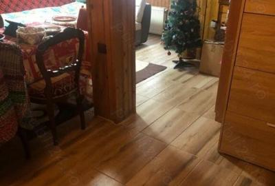 Case de vacanta zona Rasinari - 10