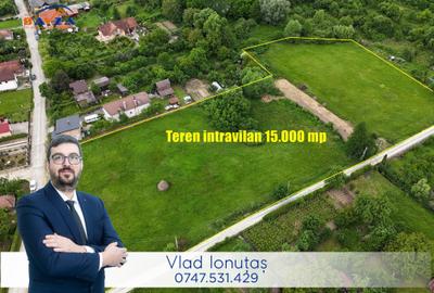 Teren Construcții intravilan de 15000 mp, în Tăuții-Măgherăuș