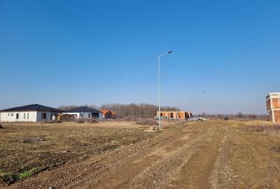 Teren de vanzare, zona Ghiroda - 4