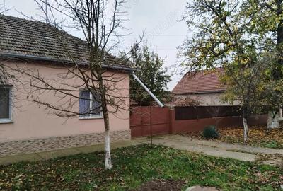 Casa de vanzare Peciu Nou - 1
