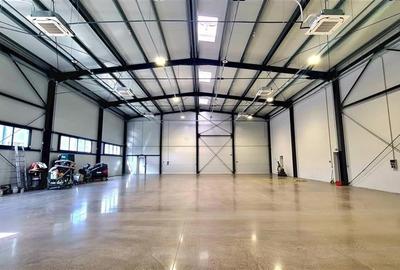 Hala noua de inchiriat , zona Lugojului - Aeroport Tmisoara - 2