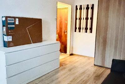 Inchiriere apartament cu o camera in zona Dambovita - 2