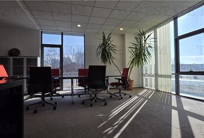 Spațiu comercial, de 367.10000610352 mp, în Timpuri Noi - 3