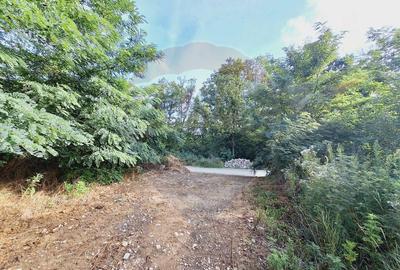 Teren de 3219 mp, în Hidiș