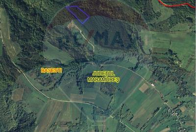 Teren de 42750 mp, în Băsești - 5