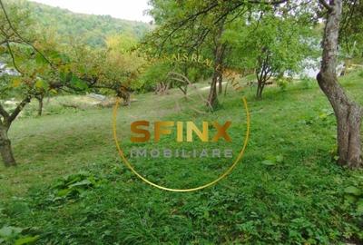 Spațiu comercial, în Posada