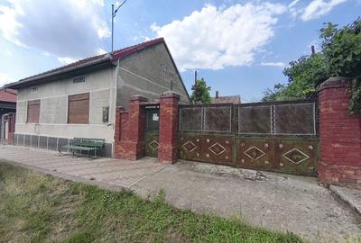 Casă cu 4 camere cu Teren 1715 Mp în Topolovățu Mare