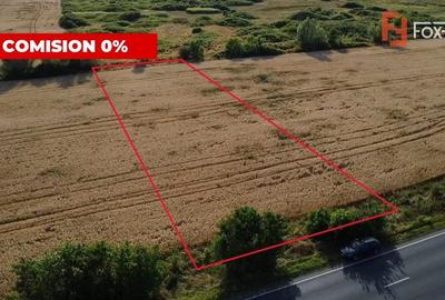 Teren Construcții intravilan de 1600 mp, în Pădureni (Jebel) - 2