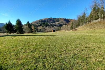 Teren de 8000 mp, în Vama - 2