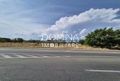 Teren Construcții intravilan de 878 mp, în Sud - 4