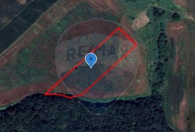 Teren 18,600mp Bazna / Prelungirea Principala - 2