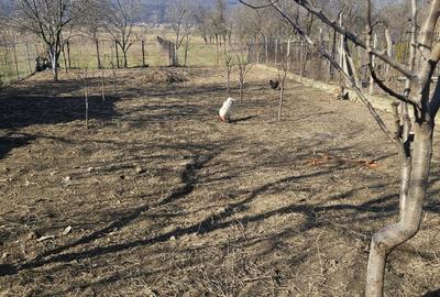 Casă cu 4 camere în Dârmănești - 6