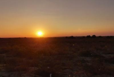 Vanzare 10000 mp plaja virgina,Constanta Vadu la Cherhana Bosoanca drum pietruit - 1