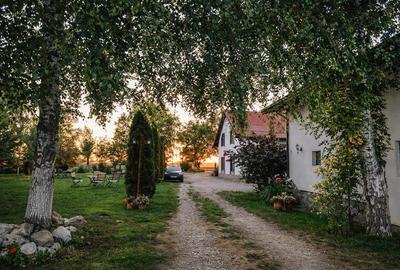 Restaurant cu gradina, de inchiriat, deschidere la DN, Halchiu, Brasov - 2