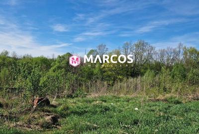 Teren Calea Caransebesului, Km 6, ID 978 - 3