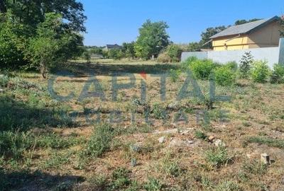 Teren Intravilan 6017 mp pentru Constructii Case Individuale, Duplexuri, Blocuri - 2