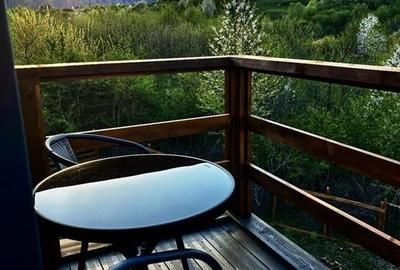 Cabana Sustenabila | Zarnesti - 20