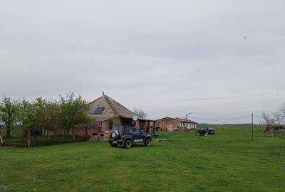 Teren de 100800 mp, în Sud - 6