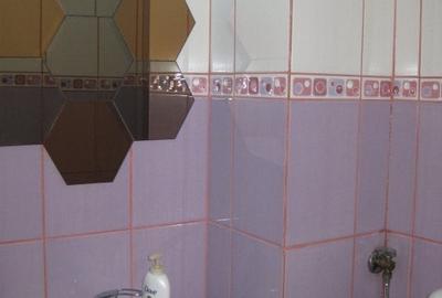 Apartament cu 3 camere semidecomandat în Brâncoveanu - 8