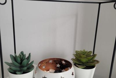 STUDIO MOBILAT + LOC DE PARCARE PROPRIETATE -50 M DE SHUT UP BEACH -MAMAIA NORD - 11