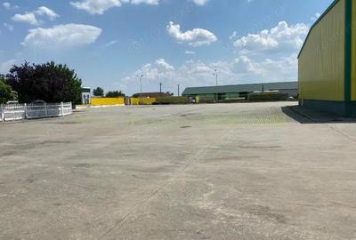 Spațiu comercial, de 600 mp, în Pecica - 3