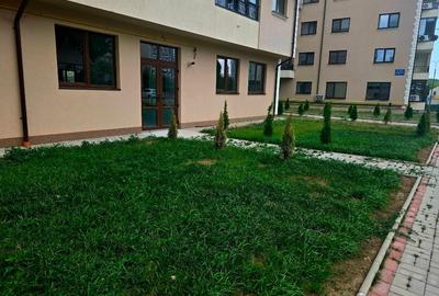 Spatii comerciale - 2