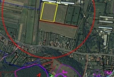 Oportunitate imobiliara - 1,2 ha pamant intravilan in Lesnic