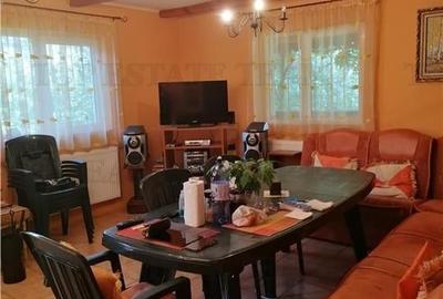 Casa de vacanta in Arges - 4
