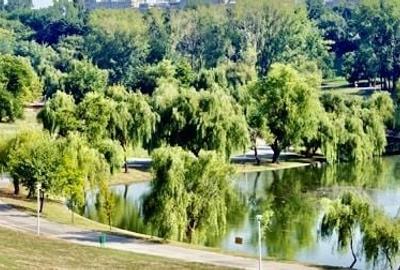 Teren 680 mp langa parcul Tineretului - 5