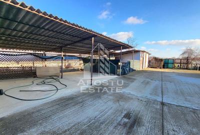 Casa individuala,independenta energetic, 5 camere,teren3783,Peciu Nou - 30