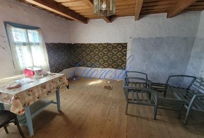 Teren intavilan, 4800 mp, front la strada, utilitati, Rasca - 7