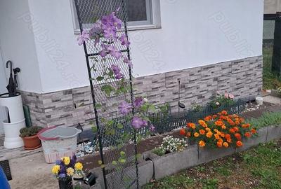 Casă cu 3 camere în Sânmihaiu de Câmpie - 1