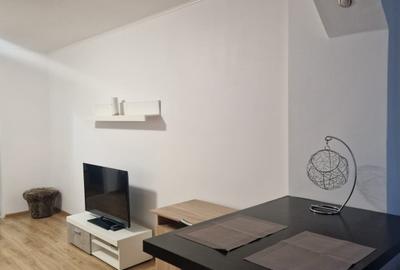 Inchiriere-garsoniera-p/10-semidec-Dr Taberei-Sibiu-mobilat/utilat-2.000 Ron - 11